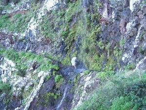 Madeira 121