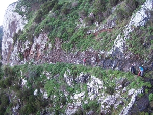 Madeira 124