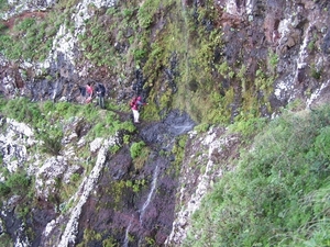 Madeira 125