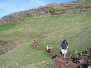 Madeira 146
