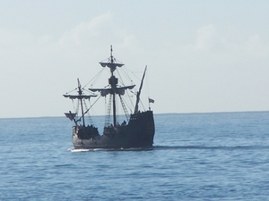 Madeira 175