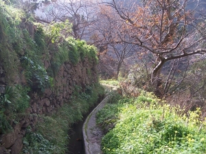 Madeira 181