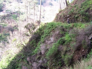 Madeira 182