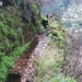 Madeira 183
