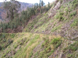 Madeira 185