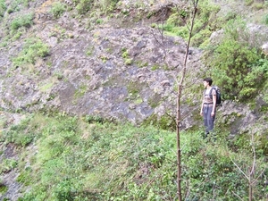 Madeira 186