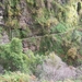 Madeira 213