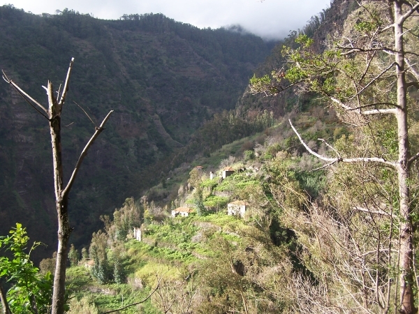 Madeira 222