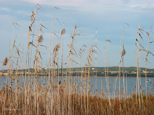 parque la mata  puur natuur