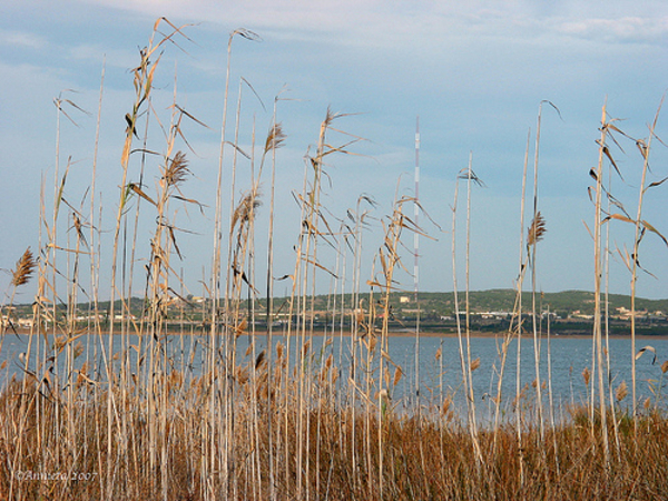 parque la mata  puur natuur