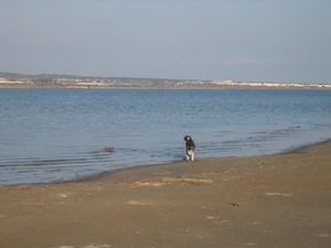 zoutmeer LA MATA