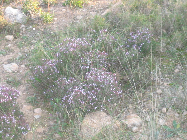 COSTA BLANCA ZUID