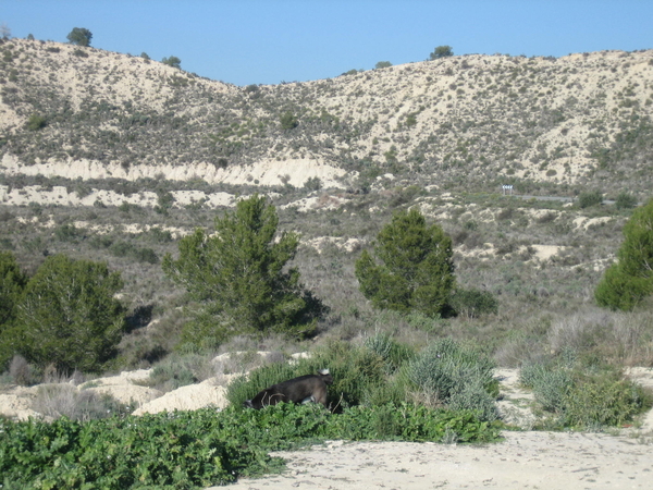 Embalse de la Pedrera