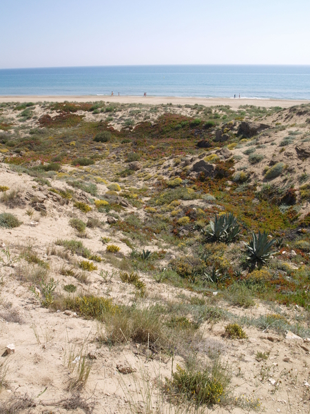 CASADIANA / COSTA BLANCA