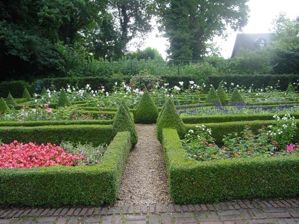 Fuchsia Neerpelt 007