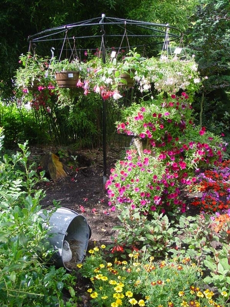 Fuchsia Neerpelt 021