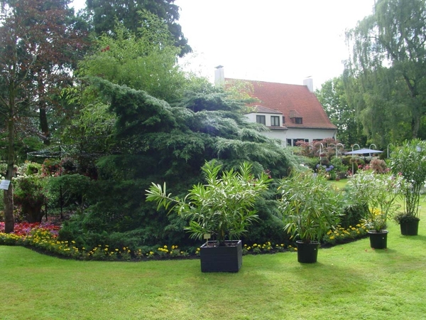 Fuchsia Neerpelt 026
