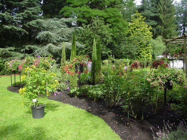 Fuchsia Neerpelt 033