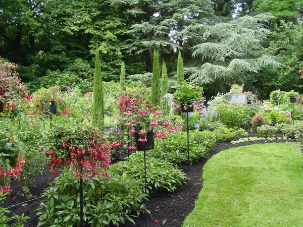 Fuchsia Neerpelt 036