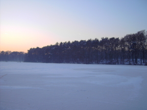10-01-2009 de vijvers in terlamen 002