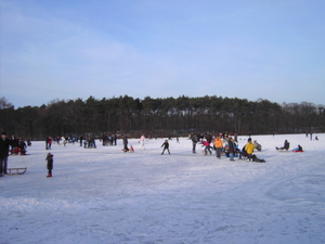 10-01-2009 de vijvers in terlamen 004