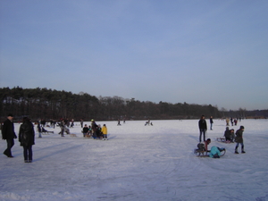 10-01-2009 de vijvers in terlamen 005