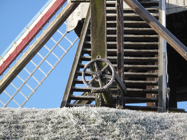 Aan de molens van Brugge