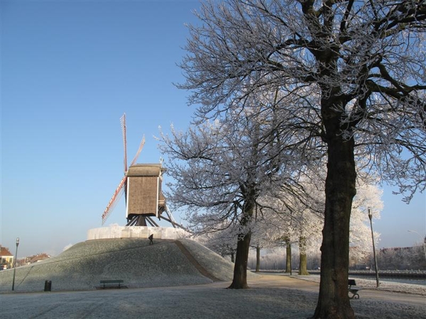 aan de molens van Brugge