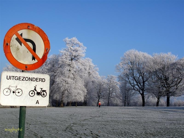 aan de molens van Brugge