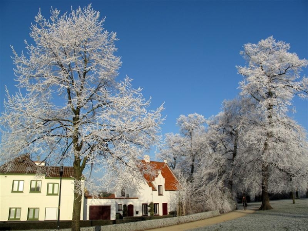 aan de molens van Brugge