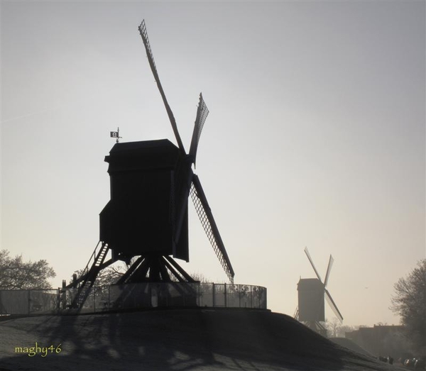aan de molens van Brugge