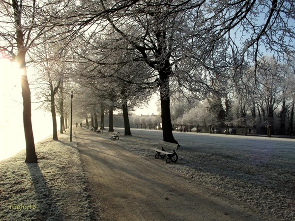 IMG_0107-1 (Medium) (2)