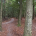 Herfst en Winter in Gaasterland (Friesland)