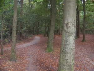 Herfst en Winter in Gaasterland (Friesland)