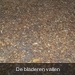 Herfst in Gaasterland