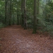 Herfst in Gaasterland