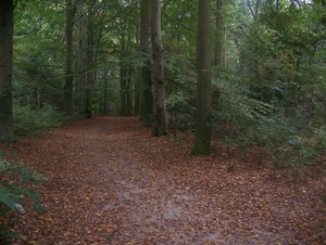 Herfst in Gaasterland