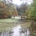 Herfst in Gaasterland