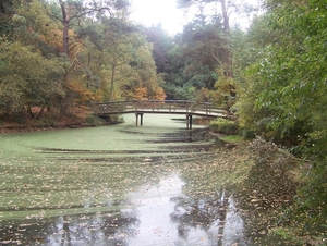 Herfst in Gaasterland