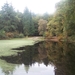 Herfst in Gaasterland