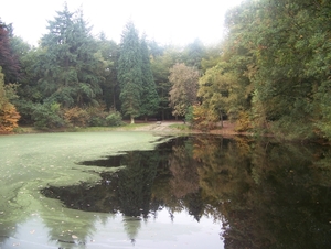Herfst in Gaasterland