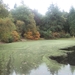 Herfst in Gaasterland