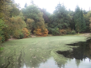 Herfst in Gaasterland