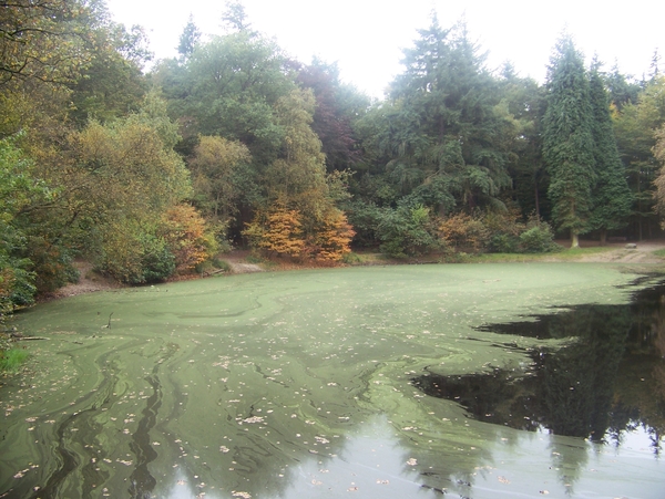 Herfst in Gaasterland