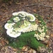 Herfst in Gaasterland