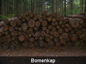 Herfst in Gaasterland
