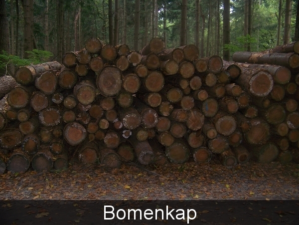 Herfst in Gaasterland