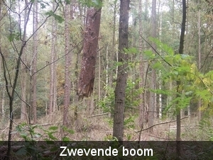 Herfst in Gaasterland