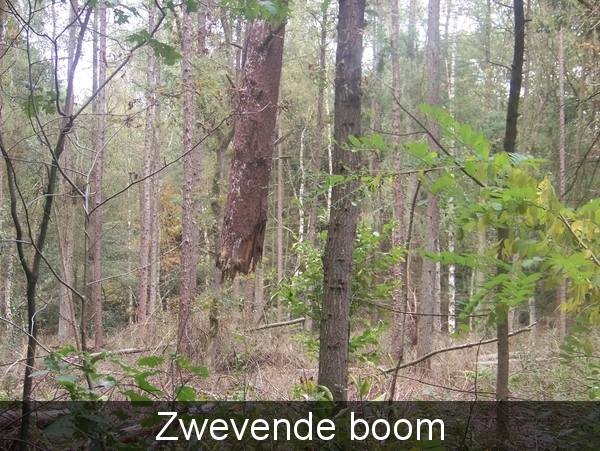 Herfst in Gaasterland