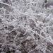 Winter in Gaasterland
